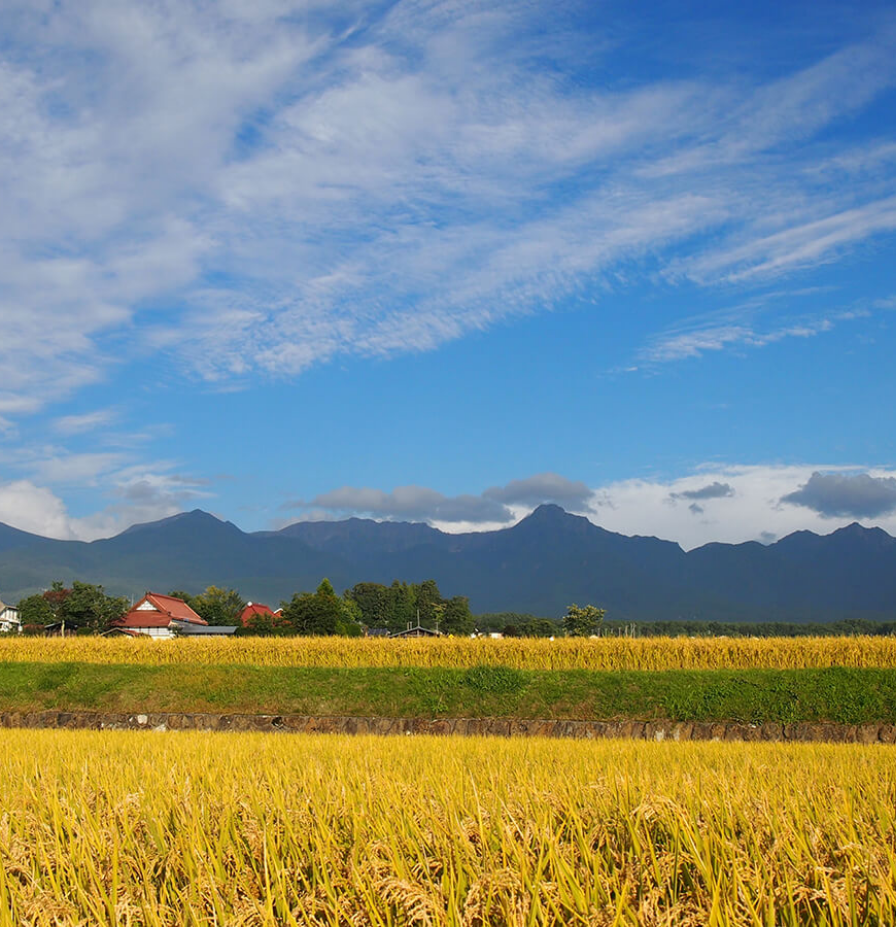 八ヶ岳